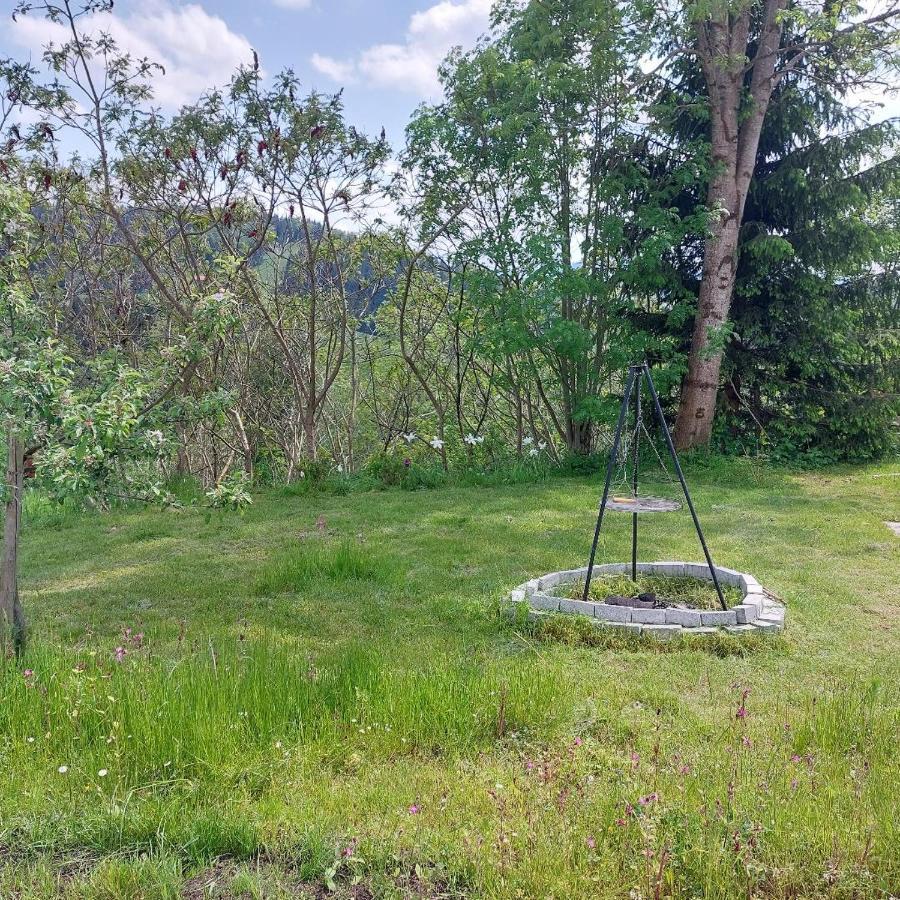 Apartment Hirsch Grunenbach Екстериор снимка